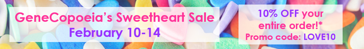valentines sale banner - product page